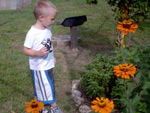 Boy admiring flowers